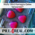 Wofür Wird Kamagra-Gelee Verwendet 13